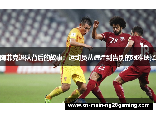陶菲克退队背后的故事：运动员从辉煌到告别的艰难抉择