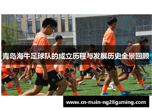 青岛海牛足球队的成立历程与发展历史全景回顾 青岛海牛足球队的成立历程与发展历史全景回顾