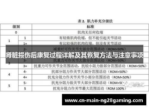 肾脏损伤后康复过程详解及其恢复方法与注意事项 肾脏损伤后康复过程详解及其恢复方法与注意事项