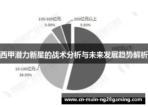 西甲潜力新星的战术分析与未来发展趋势解析