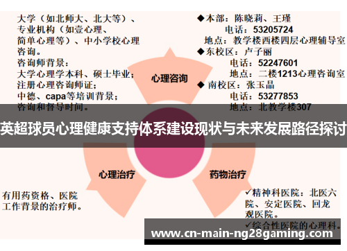 英超球员心理健康支持体系建设现状与未来发展路径探讨