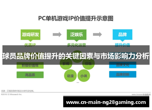 球员品牌价值提升的关键因素与市场影响力分析